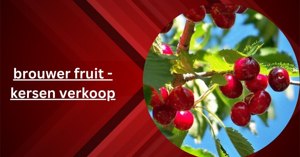 brouwer fruit - kersen verkoop